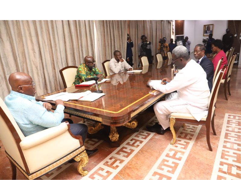 President Akufo-Addo addressing a delegation from the International Organisational Development Association at a meeting at Jubilee House