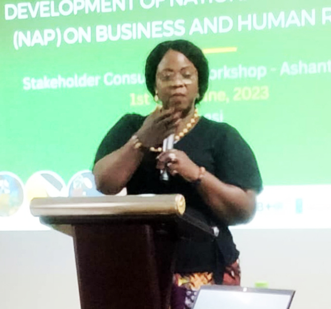 Mrs. Mary Adjeley Nartey doing a PowerPoint presentation on 'NAP on BHR' during the stakeholder engagement