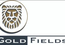 Gold Fields: We’ll Not Cede Our Concession For Mining