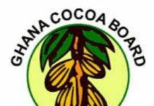Government Maintains Cocoa Producer Price despite global price decline