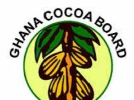 Government Maintains Cocoa Producer Price despite global price decline