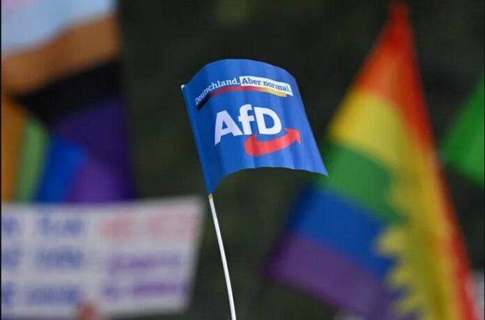 A supporter waves a flag with the party logo during an election campaign event of the far-right AfD party in Munich, Germany