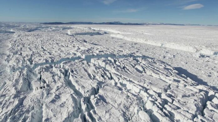 Giant icebergs detaching from the front of the Zachariæ Isstrøm glacier in 2016. The glacier's floating ice shelf collapsed in 2003