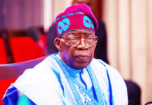 Tinubu appoints Nwabueze from Delta as tax ombudsman