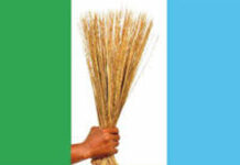 Osun APC condemns alleged post-election attacks, urges police action