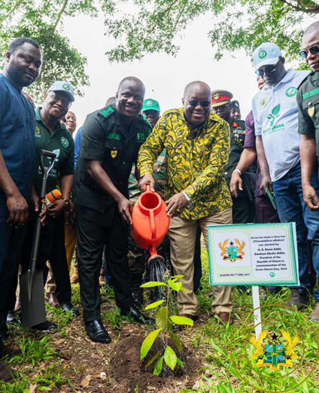 President Akufo-Addo watering the 'Alasa' tree he planted, being assisted by the Lands Minister (Left)