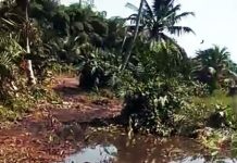 Asuansi Technical Institute’s Lands Under Threat