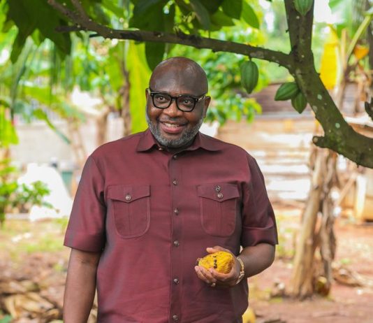 COCOBOD Clears GH¢162m Debt Owed to Cocoa Bill Holders