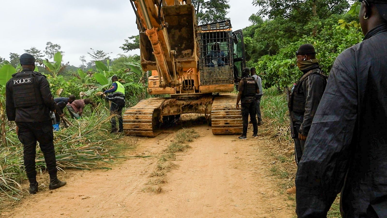 IGP Orders Probe Into Jimira Forest Reserve Invasion by Illegal Miners