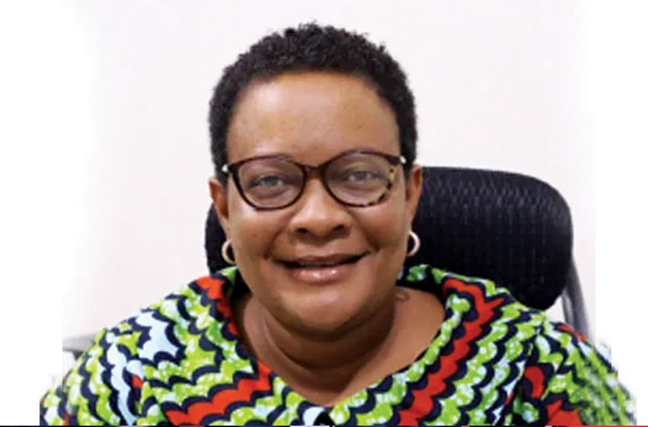 Anti-corruption groups: political parties must campaign for only six months
