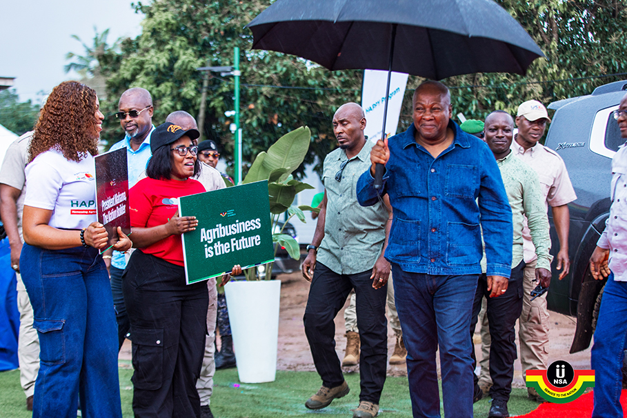Mahama  Slams  GMO Chicken  …On The Ghanaian Market As Government  Eyes Poultry Sector Shake-Up