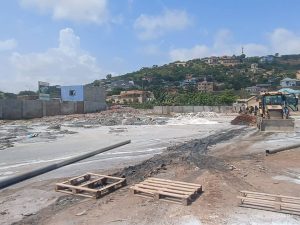 Tang Wei Hits Back: I Have Not  Encroached On Panbros Land