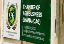 Grain Emergency: Chamber of Agribusiness Calls for 3-Month Rice Import Ban