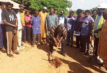 Nkoranza North gets boost in education and healthcare