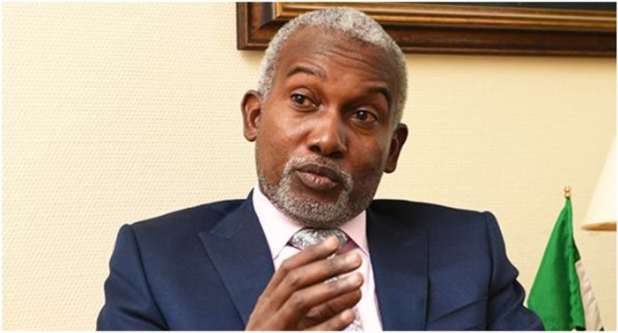 Minster of Foreign Affairs, Yusuf Tuggar