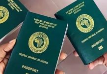NIS To Introduce Single-Travel Emergency Passport For Nigerians Abroad