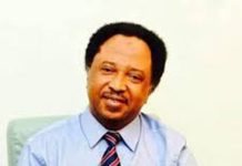 Return home before you get arrested –Shehu Sani tells Nigerians after Trump revokes 80,000 visas