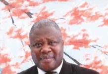 Ok Ghana Must Not Stay Silent -An Open Letter to the U.S. Ambassador to Ghana