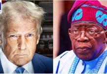 Tinubu To Meet Trump Over Christian Genocide Claims –Bwala