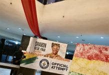 Ghanaian artist sets Guinness World Record with a giant leaf print painting