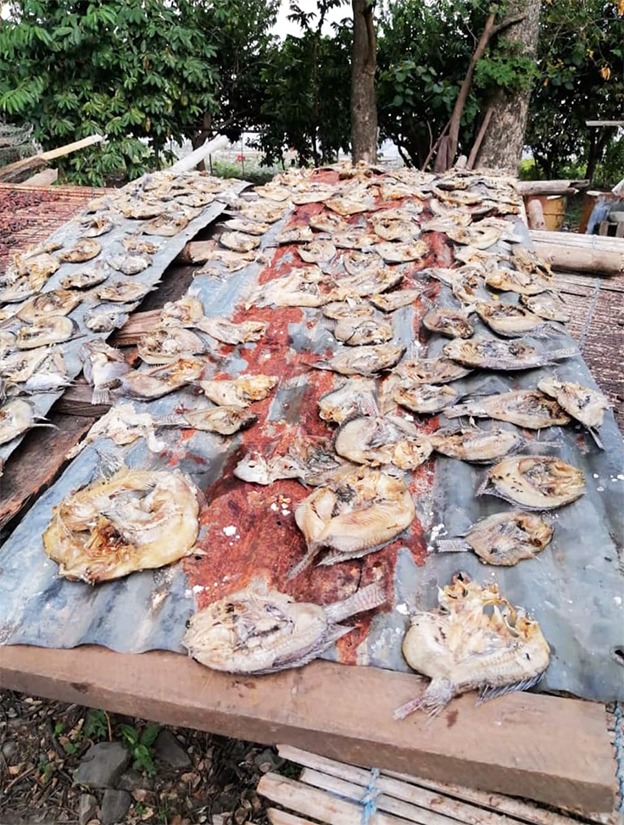 Tilapia (apatre) undergoing preservation for sale