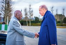 Turkey stands by Nigeria in fight against terrorism, says President Erdogan