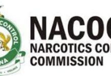 Breaking: Australia cocaine shipment kingpin busted Logo of the National Commission for Civic Education (NACOB)