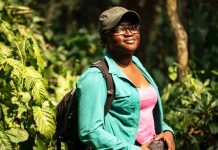 Nigerian wins global prize for trying to save bats in a country that shuns them