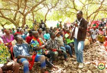 Cashew glut: Farmers cry for gov’t intervention