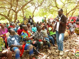 Cashew glut: Farmers cry for gov’t intervention