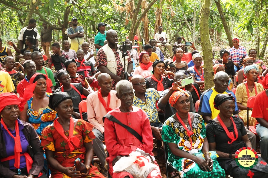 Cashew glut: Farmers cry for gov’t intervention