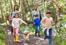 How 20 minutes of nature can boost your health