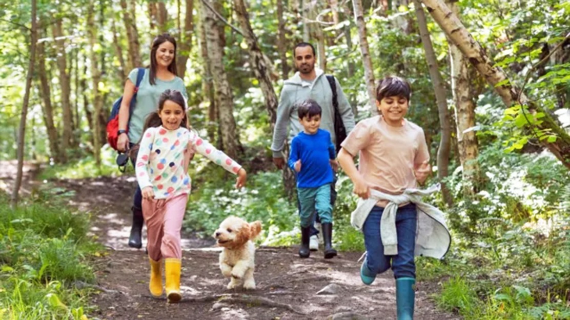 How 20 minutes of nature can boost your health