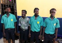 Cutlass-Wielding Ada SHS Students Arrested After Viral Video Sparks Safety Concerns