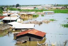 Think the weather forecast is unreliable?: Here is why