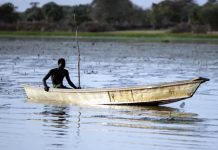 Dozens of Nigerian fishermen feared dead after Chad air strikes on Boko Haram
