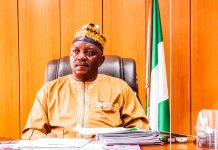 Court sentences ex-Power Minister, Mamman to 75 years imprisonment