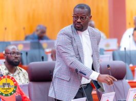 Annoh-Dompreh To Mahama: Dumsor Is Destroying Businesses