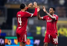 Premier League dominates Netherlands World Cup squad