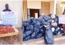 NDLEA Intercepts Cocaine Shipments to UK, Australia