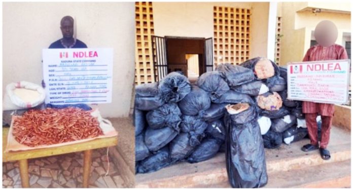 NDLEA Intercepts Cocaine