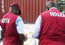 NDLEA Dismantles Nigerian-Mexican Meth Syndicate, Seizes ₦480bn Drugs In Ogun Forest