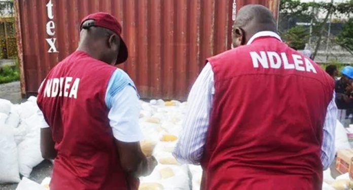 NDLEA operatives