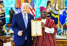 Kayode Presents Credentials To Trump, Resumes Duty As Nigeria’s Ambassador To US
