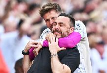 Tottenham overcome Everton to escape relegation