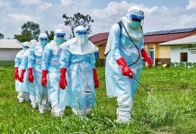 France confirms first Ebola case