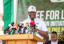 Government Target 30m Tress After Exceeding 2025 Goal