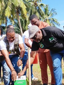 Ashanti Forestry Commission to plant 3 million trees