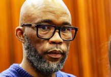 Key figure in South Africa police corruption scandal pleads guilty