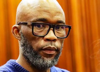 Key figure in South Africa police corruption scandal pleads guilty